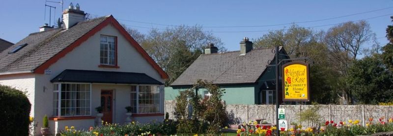 Hotel Mystical Rose Killarney Exterior foto